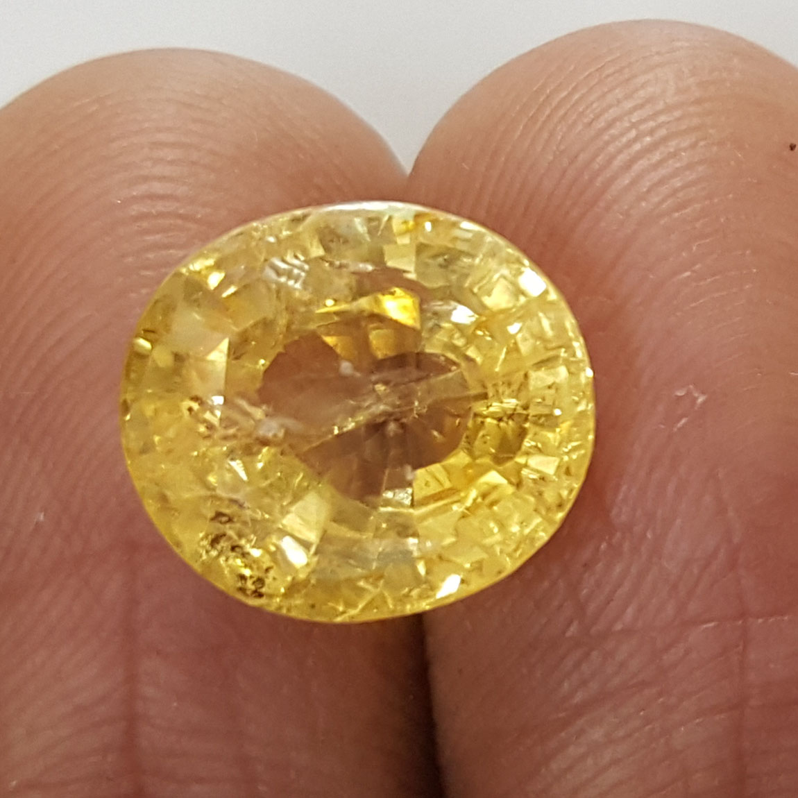8.04 Ratti Natural Yellow Sapphire With Govt Lab Certificate-(34410)