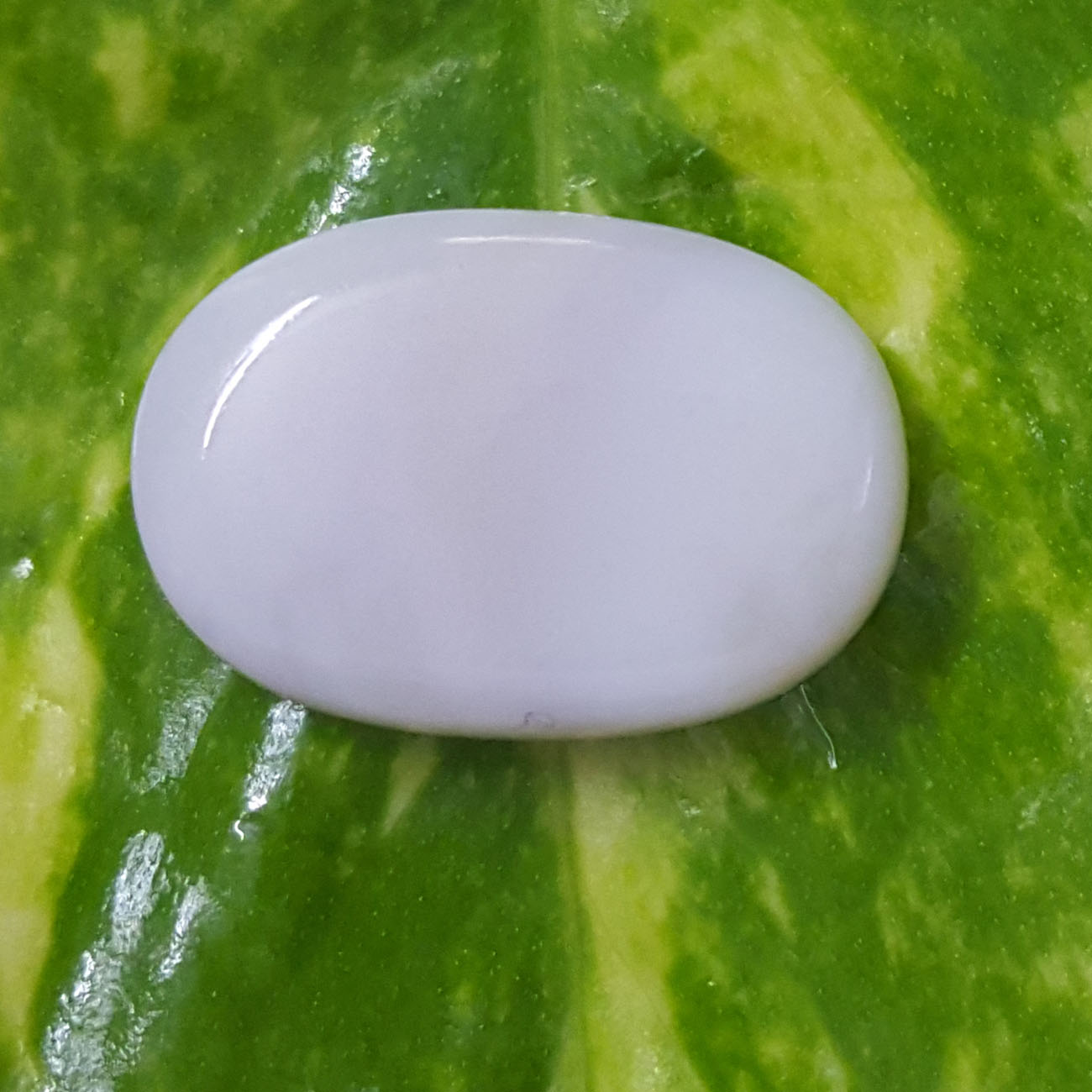 10.51 Ratti Natural Opal with Govt. Lab Certificate-(610)