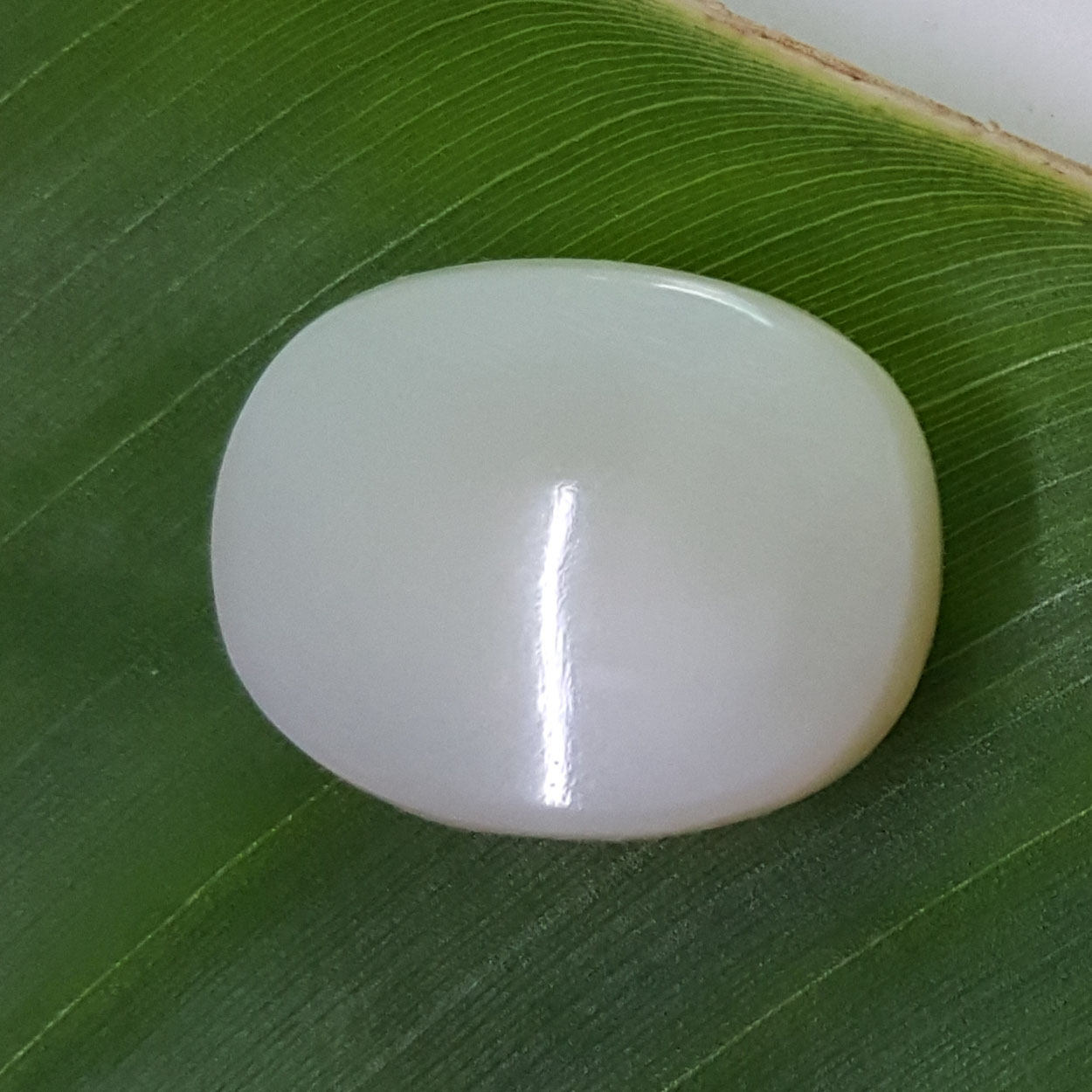 13.93 Ratti Natural Opal with Govt. Lab Certificate-(610)