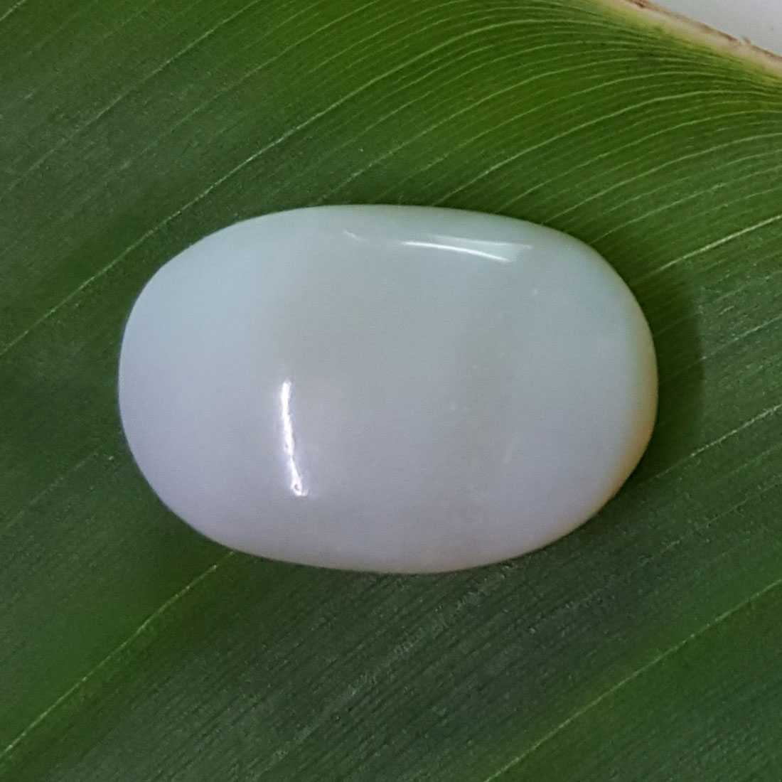 10.07 Ratti Natural Opal with Govt. Lab Certificate-(610)