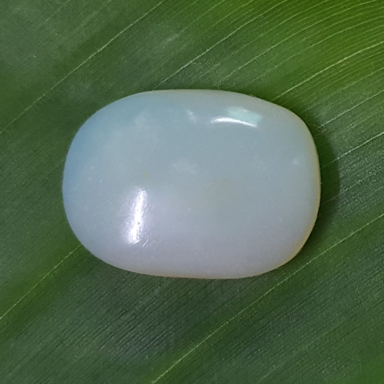 10.82 Ratti Natural Opal with Govt. Lab Certificate-(610)