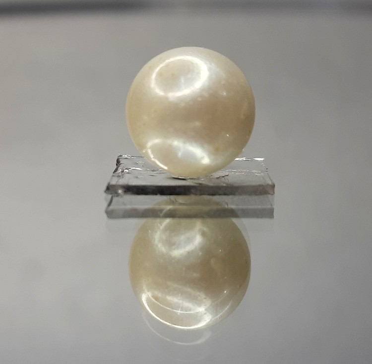 7.93 Carat Natural South Sea Pearl With Lab Certificate-700