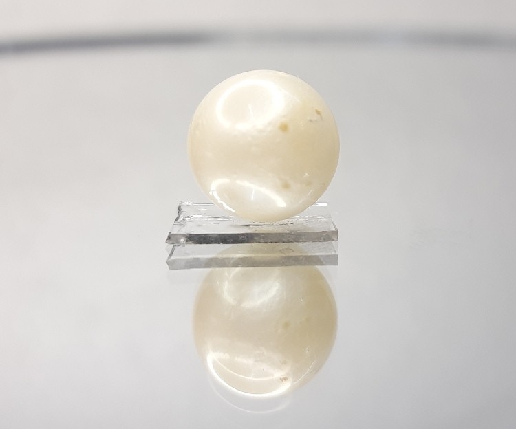 12.76 Carat Natural South Sea Pearl With Lab Certificate-700
