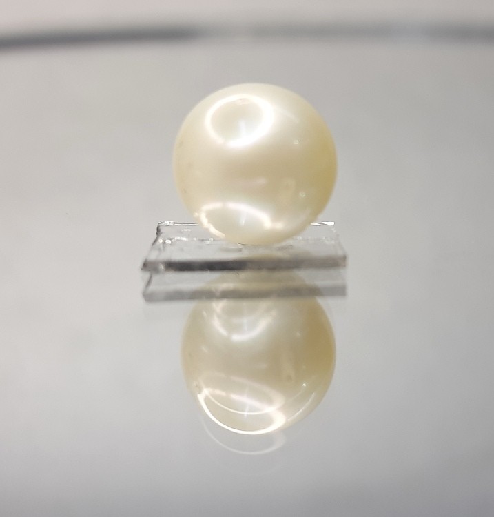 9.15 Carat Natural South Sea Pearl With Lab Certificate-700