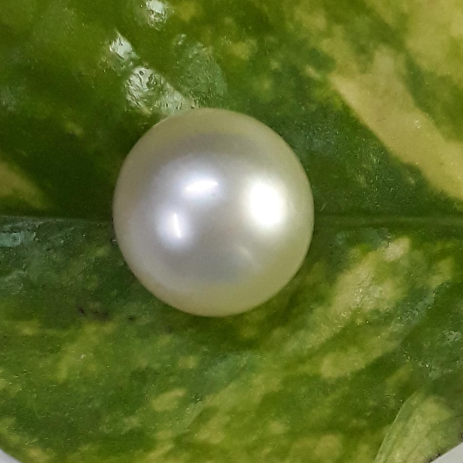 9.91 Carat Natural South Sea Pearl With Lab Certificate