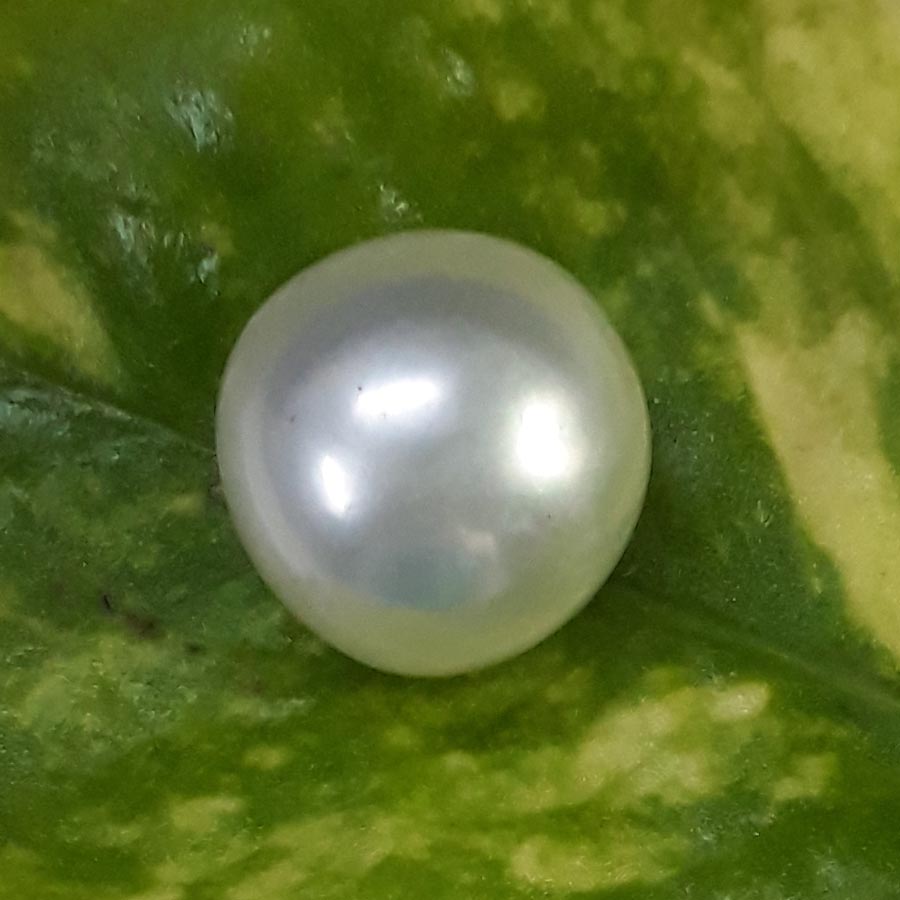 12.11 Carat Natural South Sea Pearl With Lab Certificate