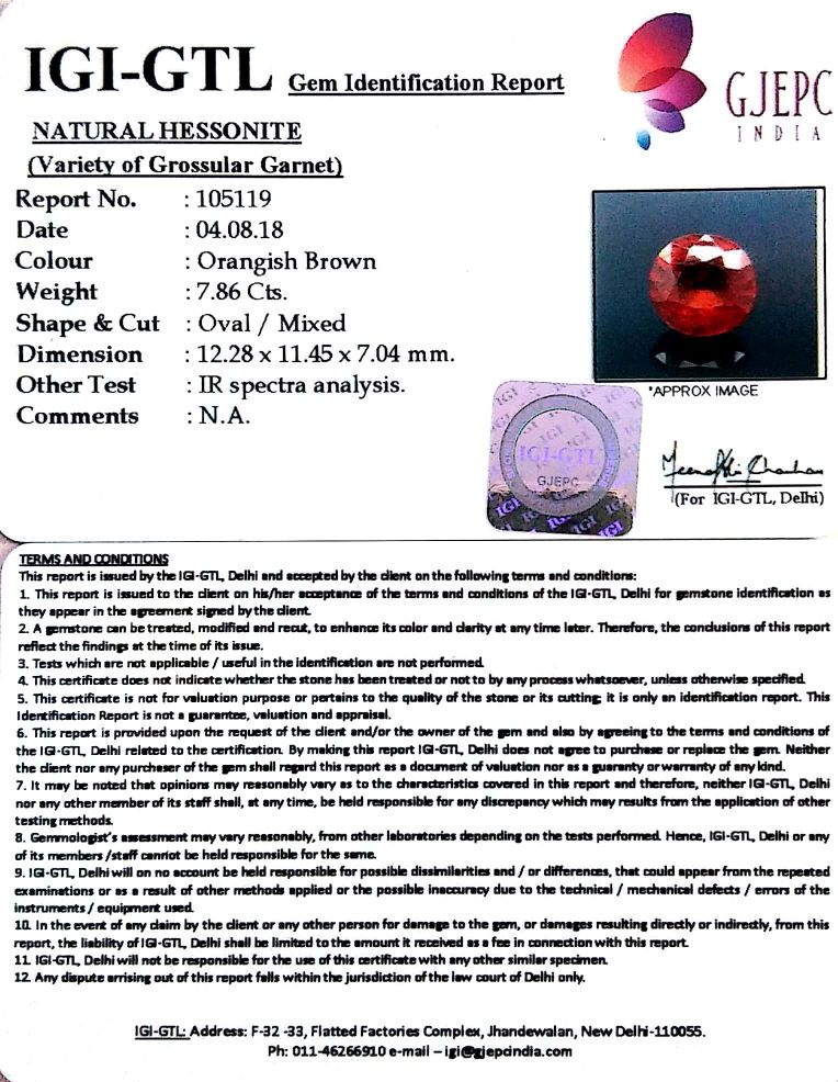8.70 Ratti Natural Hessonite with Govt. Lab Certificate-(1221)